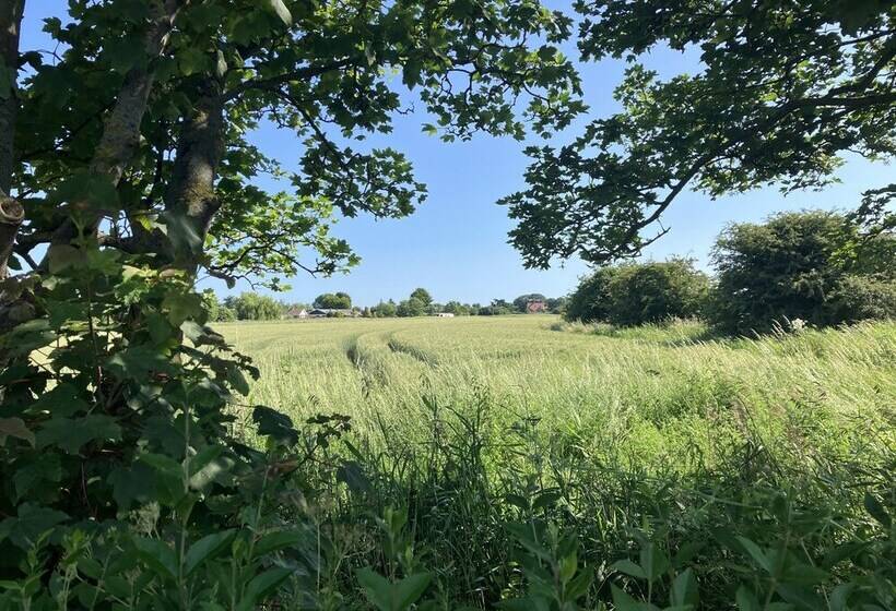 Luxury Glamping Pod With Hot Tub, Fees Apply