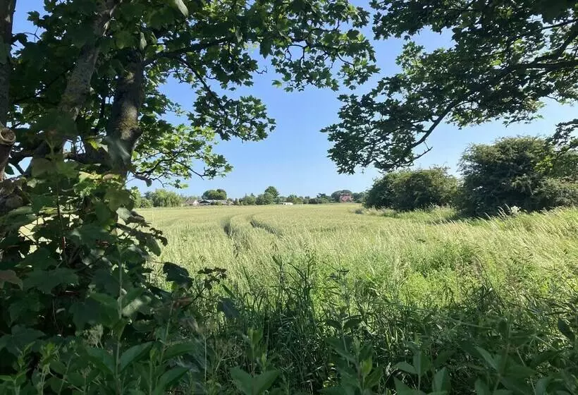 Luxury Glamping Pod With Hot Tub, Fees Apply