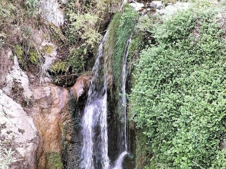 Malaga Hills Double Comfort Boutique & Wellness Hotel Adults Only