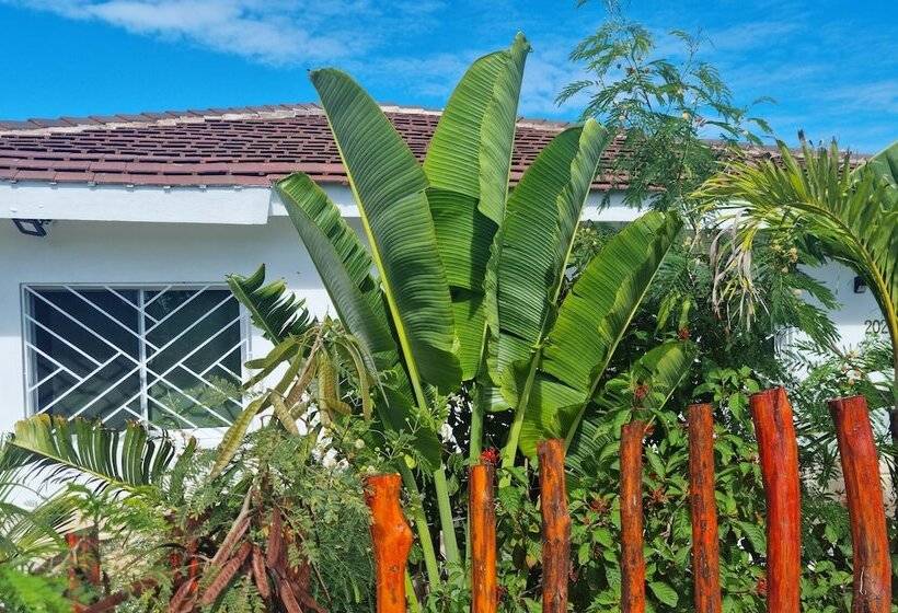 پانسیون La Botanica Tropical