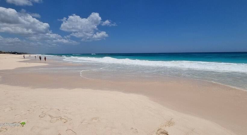 پانسیون La Botanica Tropical