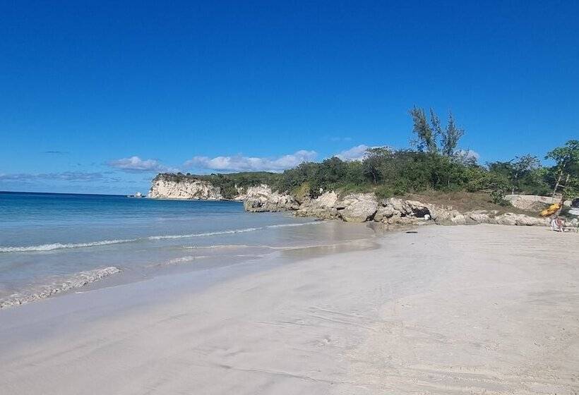 پانسیون La Botanica Tropical