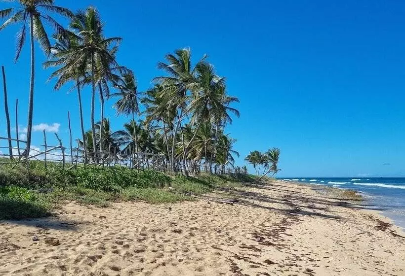 پانسیون La Botanica Tropical