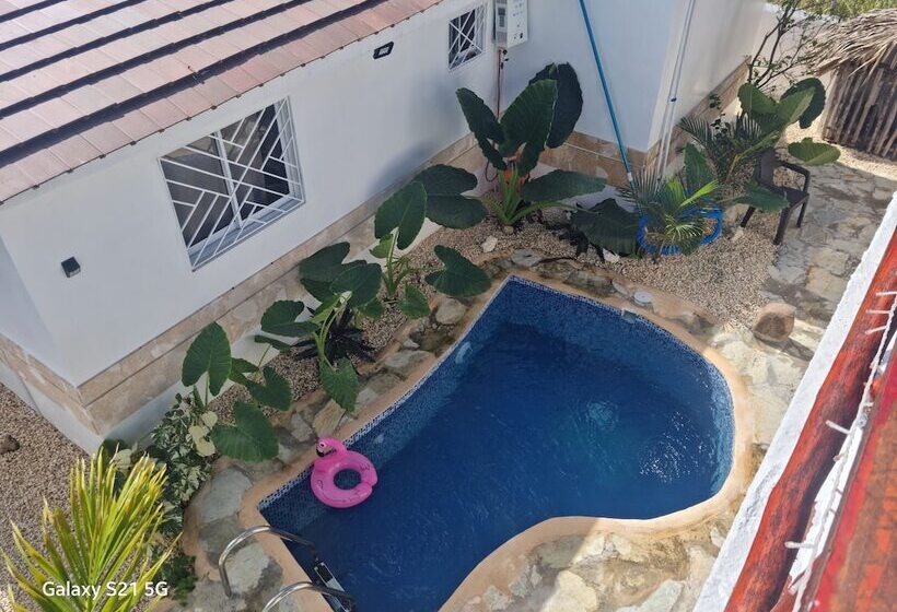 پانسیون La Botanica Tropical