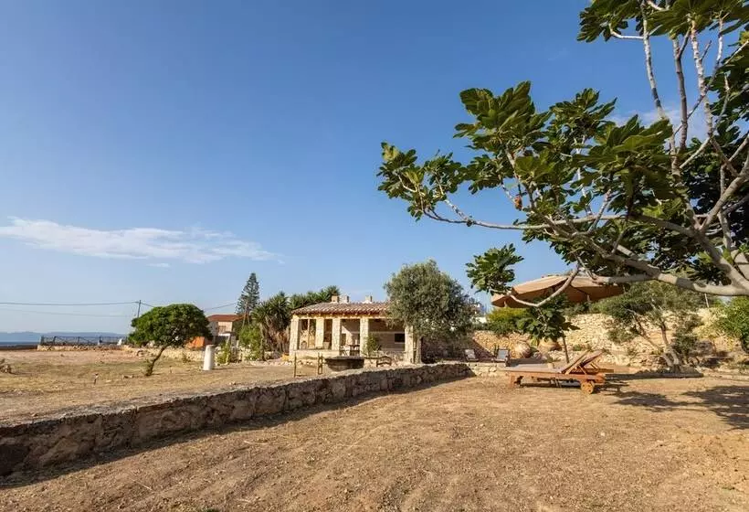 レジデンス Beachfronthouse In Aegina