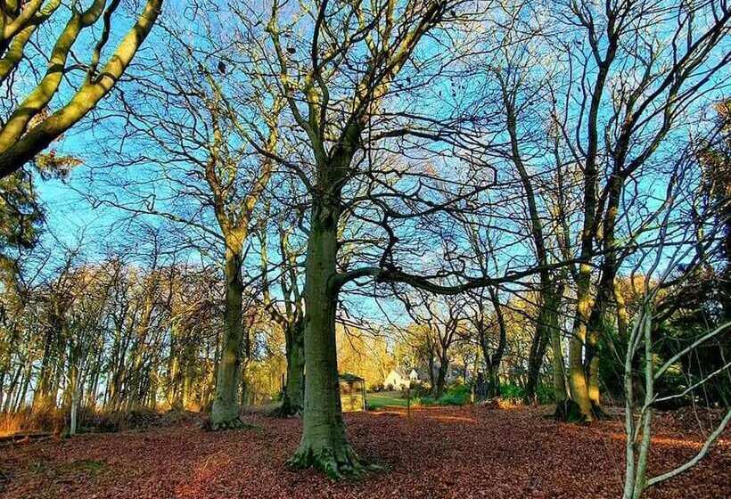 Residència Lovely 6 Bed Country House With Pool, Nr Arbroath