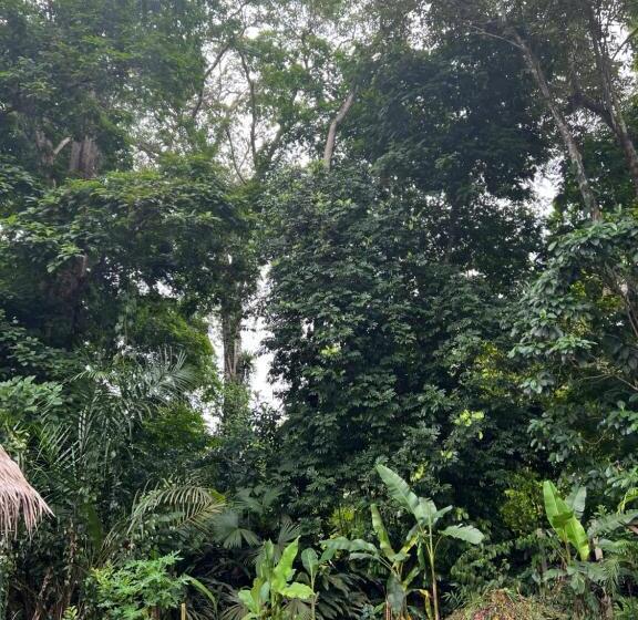 בית מלון כפרי Casitas Jungla