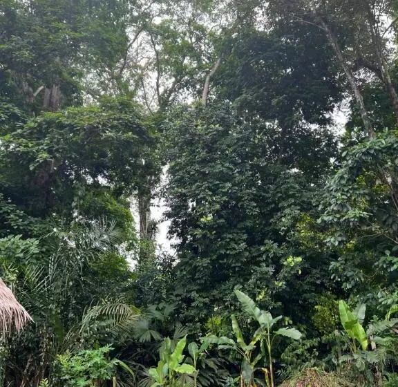 Hotelli Casitas Jungla