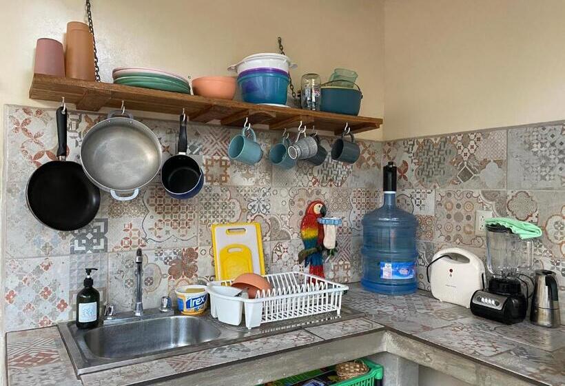 בית מלון כפרי Casitas Jungla