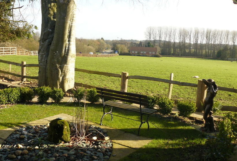 Bed and Breakfast Forest View