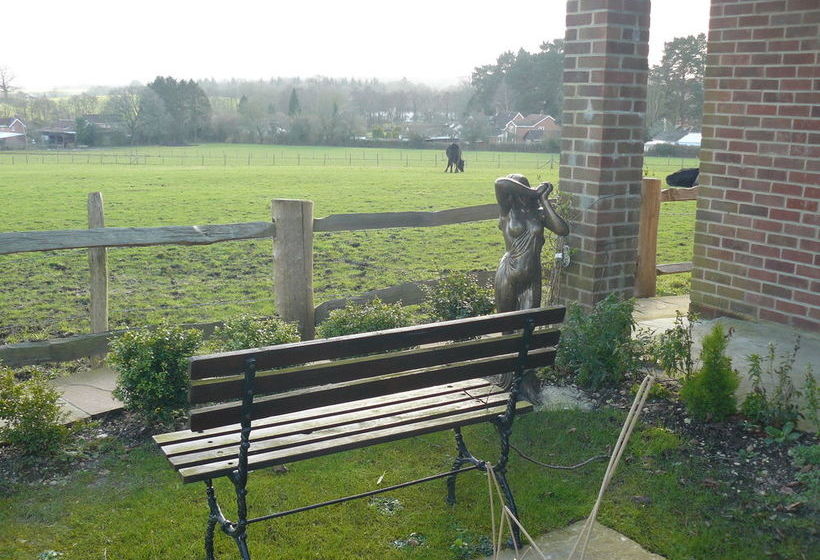 Bed and Breakfast Forest View