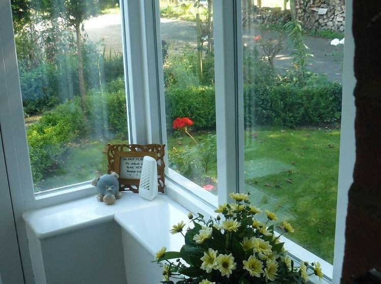 Bed and Breakfast Forest View