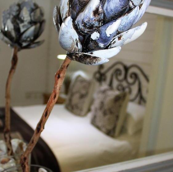 مبيت وإفطار Kleinzee Oceanfront Guest House