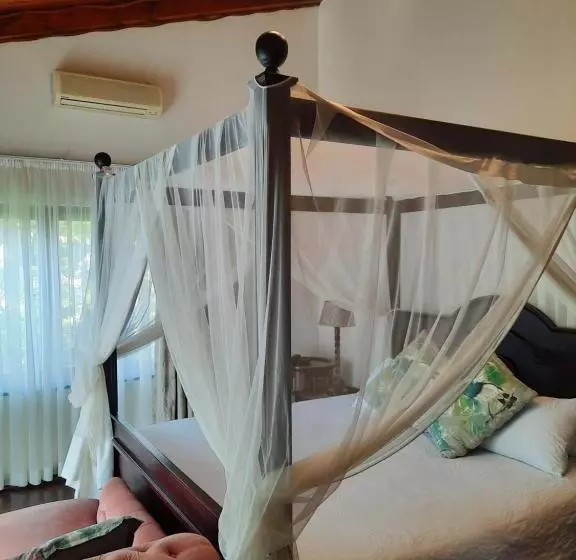 ベッドアンドブレックファースト St Lucia Wetlands Guesthouse