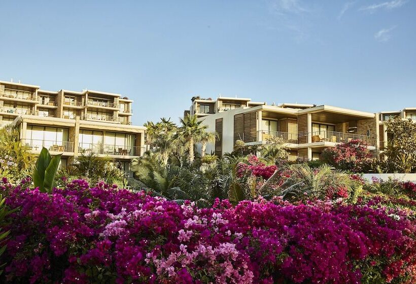Chileno Bay Resort & Residences, Auberge Resorts Collection