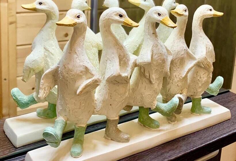 Duck Lodge B&b With Hot Tub