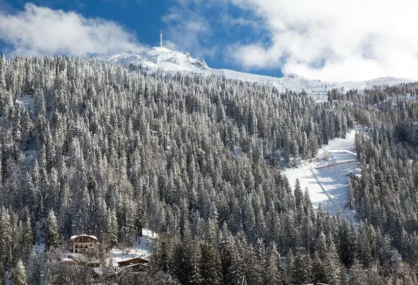هتل Alpina