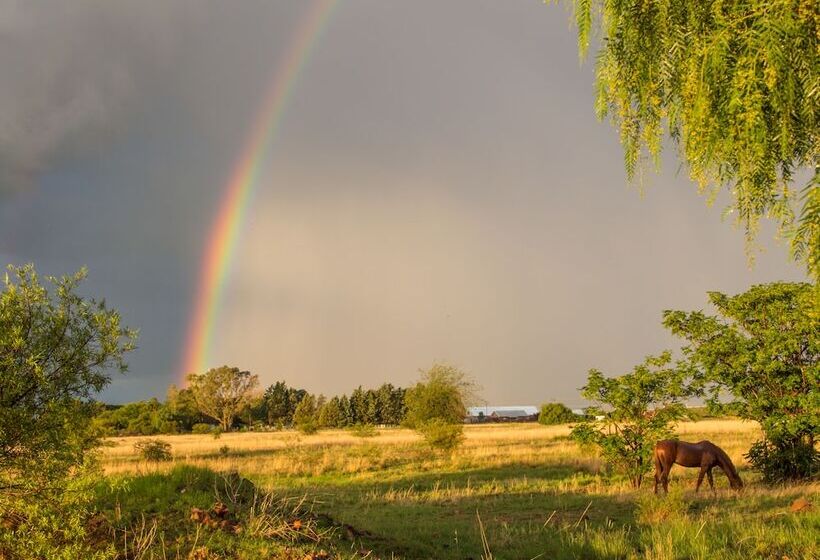 פנסיון A Cherry Lane Self Catering And B&b