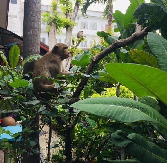 Пансион Noom Guesthouse