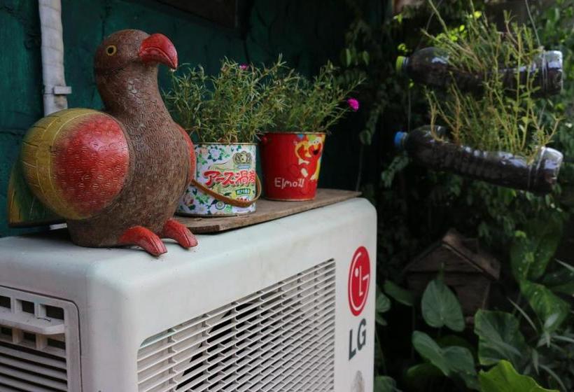 Пансион Noom Guesthouse