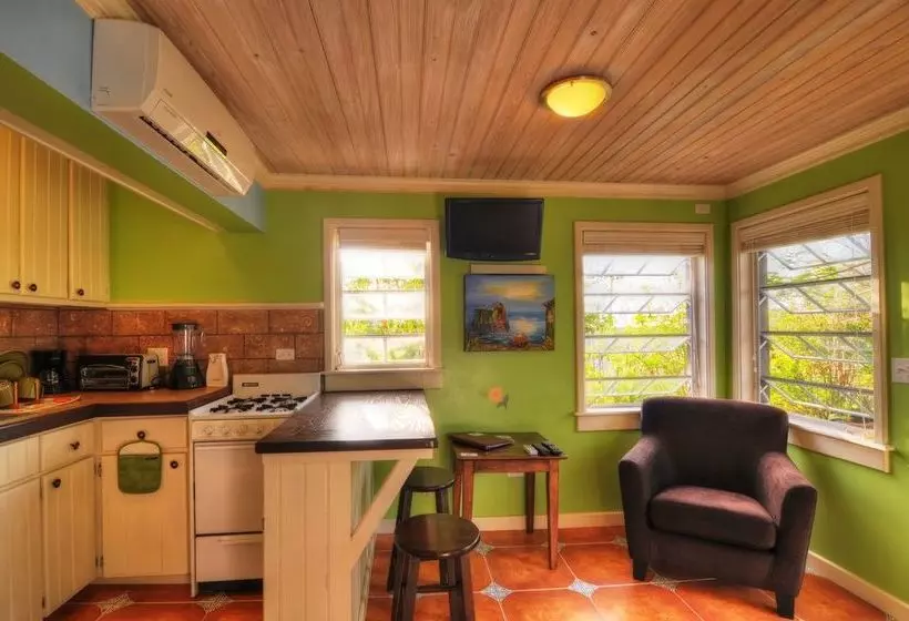 استراحتگاه Villa Allamanda