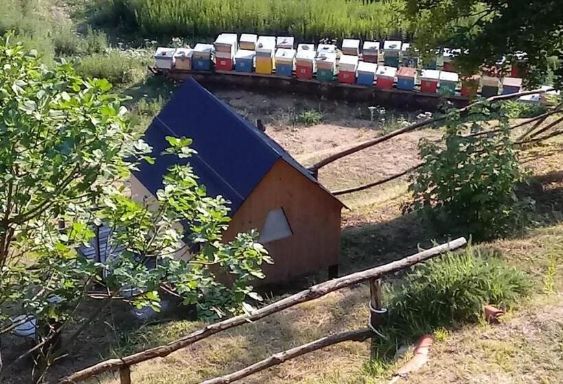 Отель Lagaressina Suite Anna Jacuzzi & Spa