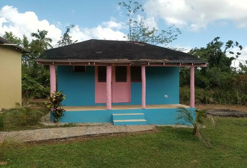 هتل کپسول Cocuyo