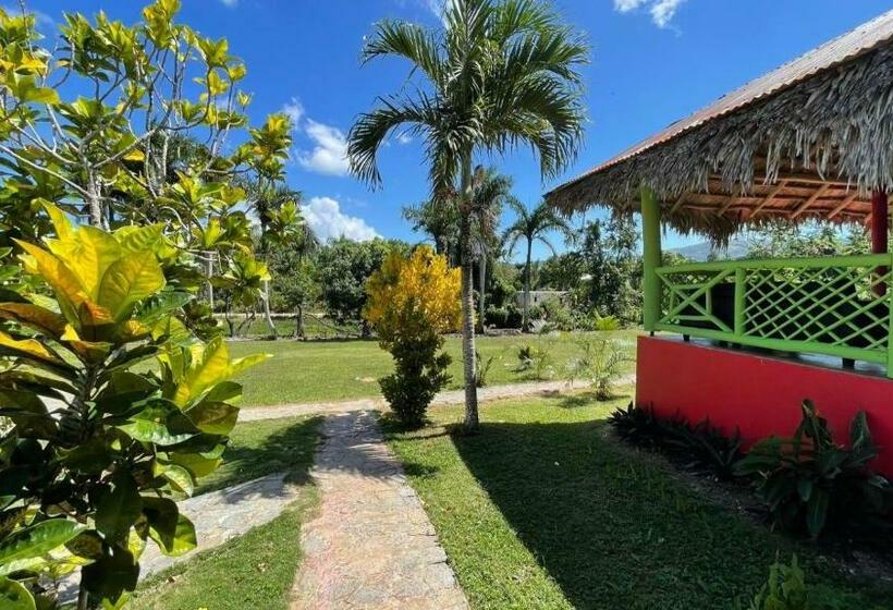 هتل کپسول Cocuyo