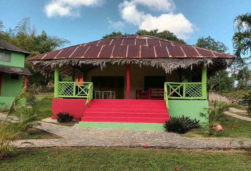 هتل کپسول Cocuyo