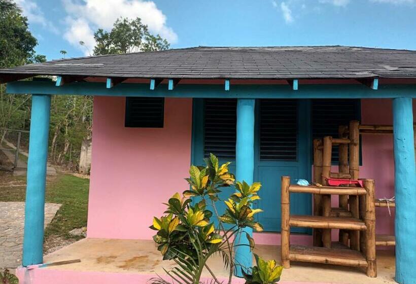 هتل کپسول Cocuyo