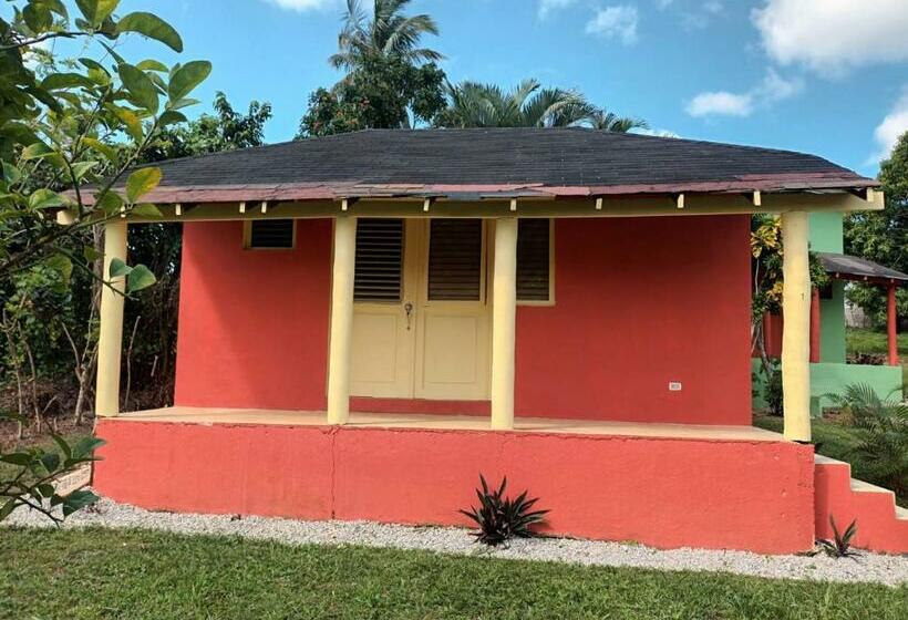 هتل کپسول Cocuyo