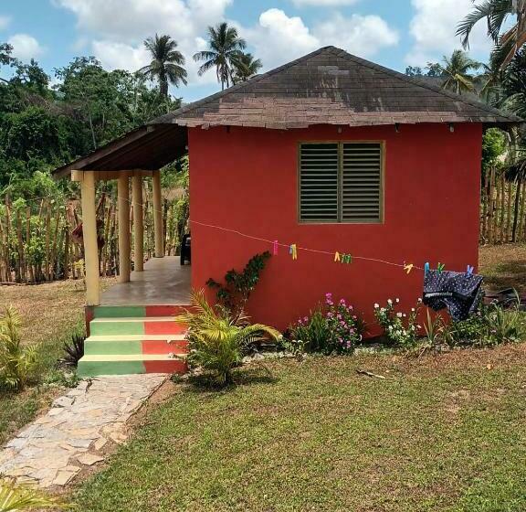 هتل کپسول Cocuyo