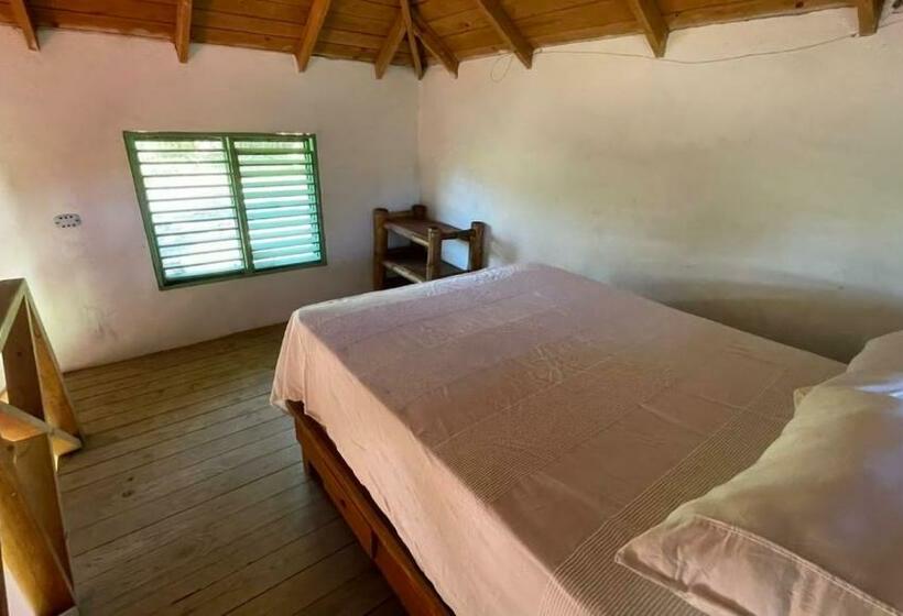 هتل کپسول Cocuyo