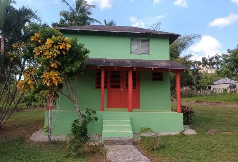 هتل کپسول Cocuyo