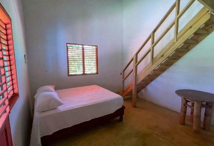 هتل کپسول Cocuyo