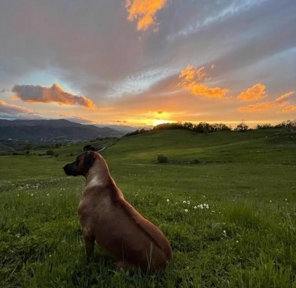 فندق Fuoridicampo Rossa