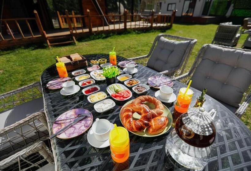 منتجع Terapi̇ Tati̇l Köyü