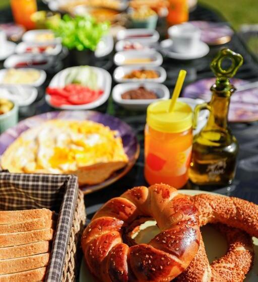 リゾートホテル Terapi̇ Tati̇l Köyü