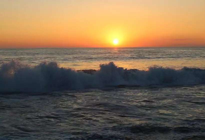 ホテル Surf Paradise Zicatela