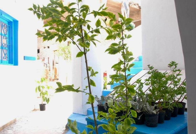 هتل شيبوب هاوس دهب Shayboob House Dahab