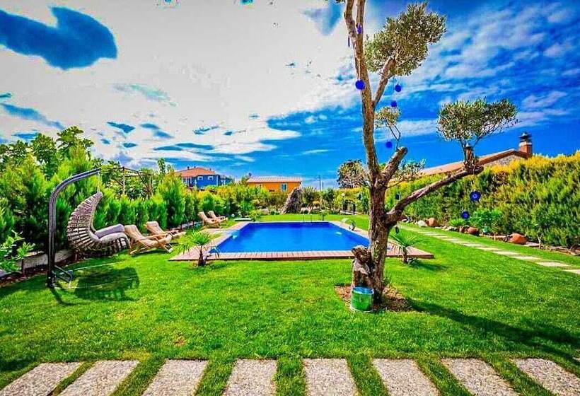 酒店 Portofino Urla Boutique