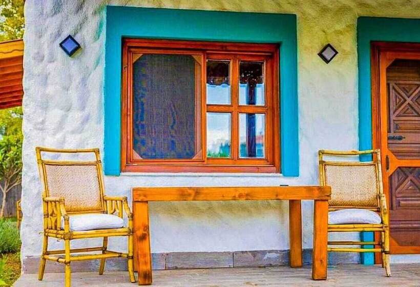 酒店 Portofino Urla Boutique