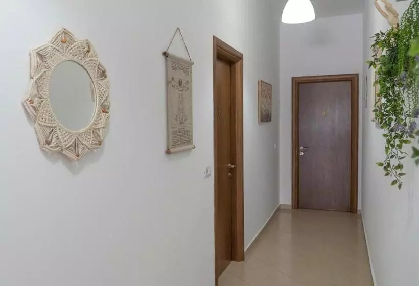 Oleva S Studios
