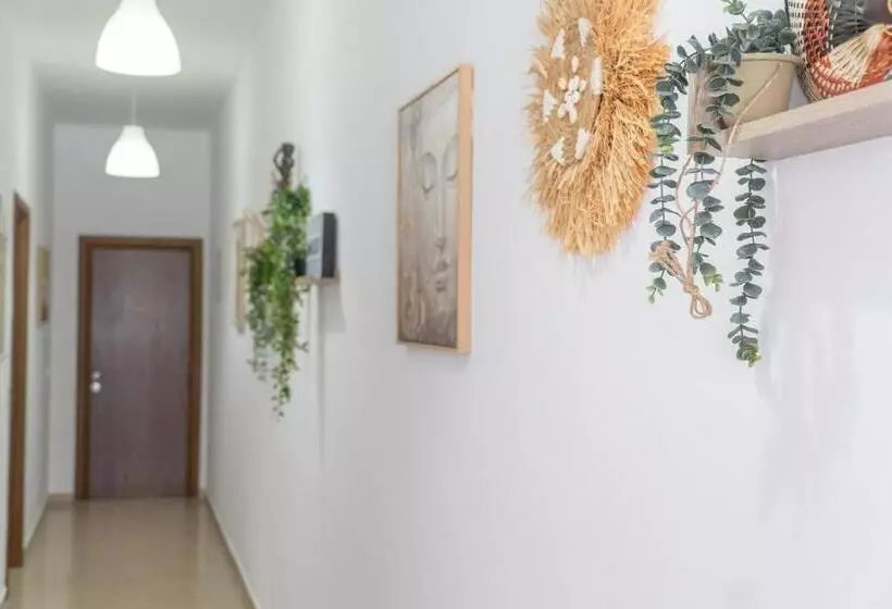 Oleva S Studios