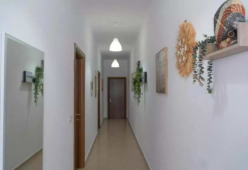 Oleva S Studios