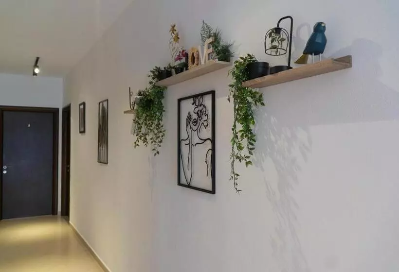 Oleva S Studios