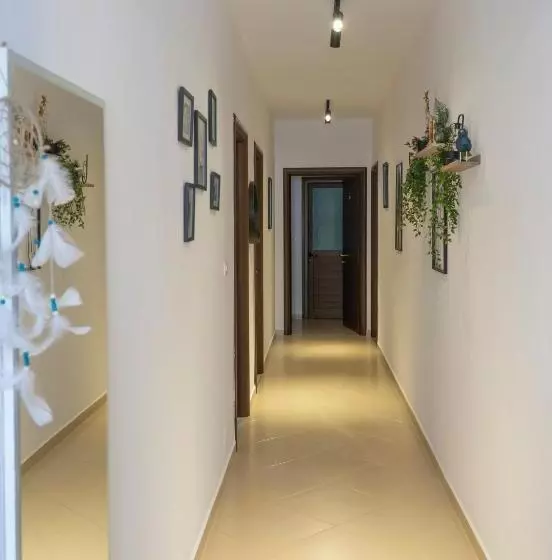Oleva S Studios