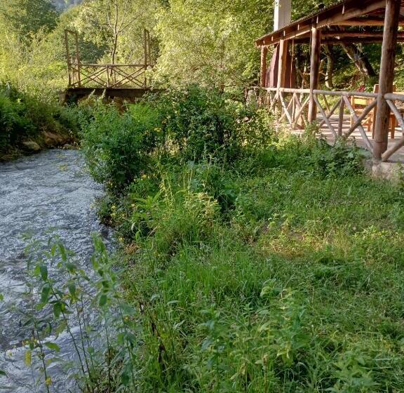 Pensão зелений рай