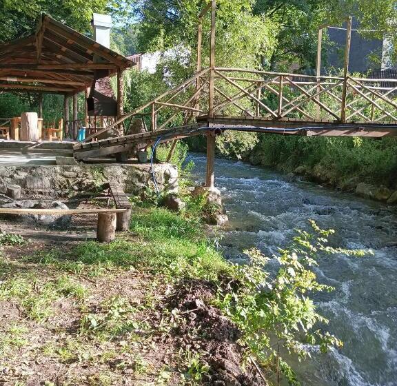 Pensão зелений рай