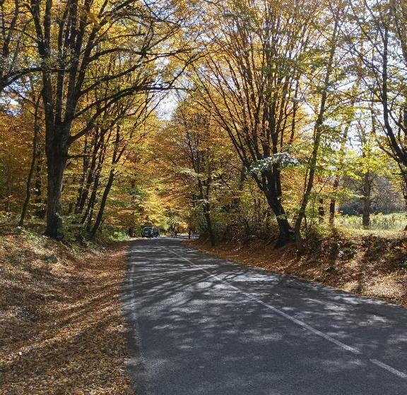 Pensão зелений рай